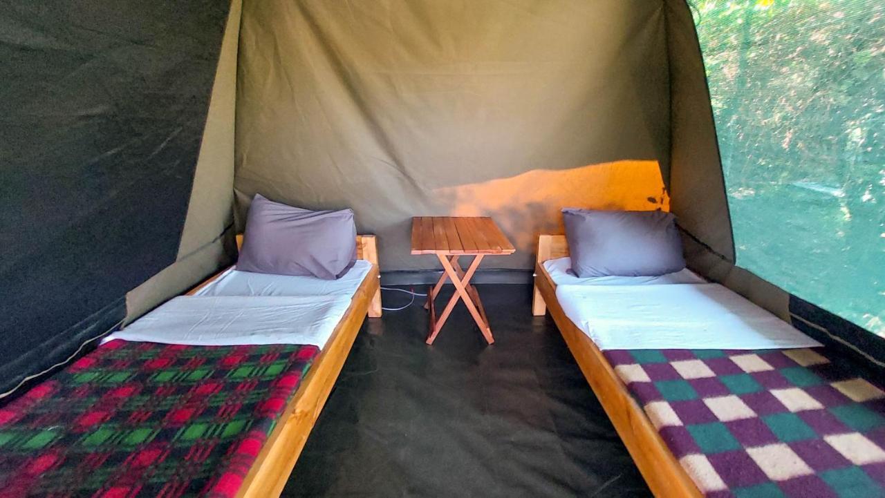 Greenwood Safari Camp Talek Exteriör bild