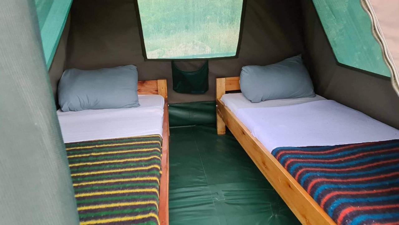 Greenwood Safari Camp Talek Exteriör bild