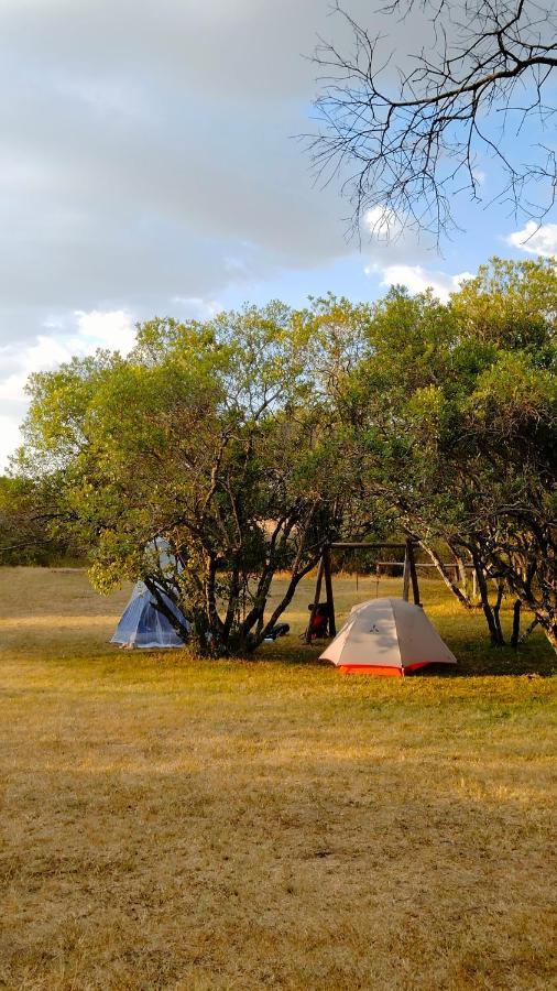 Greenwood Safari Camp Talek Exteriör bild